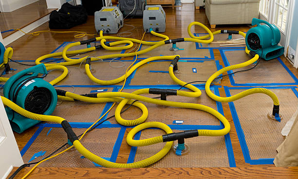 Professional Basement Flood Cleanup technician working in Salem, SC